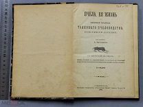 Старинная книга 1905 год ПЧЕЛА с рисунками ПЧЕЛОВОДСТВО Бутлеров Царская Россия Оригинал