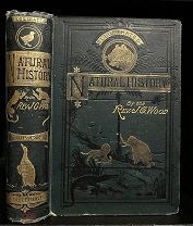 Птицы J. G. Wood Иллюстрированная естественная история, Лондон 1874.