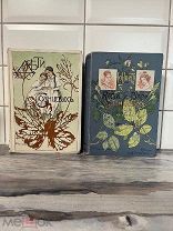 Антикварные книги«Дети Солнцевых» «Юность Кати и Вари Солнцевых»СОСТОЯНИЕ!1900г