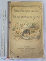 Старинная книга 1902 год Школьный АТЛАС картин Жизни животных БРЭМА Царская Россия Оригинал