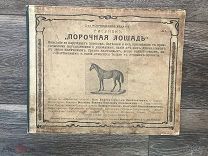 Порочная лошадь. Наружные пороки и болезни лошади. К. А. Ланге. Царская Россия.