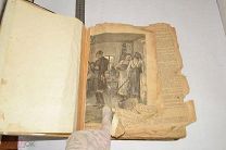 Подшивка «Журнал Нива». 1891 год. Январь-Июль (лот R844) 5681-3