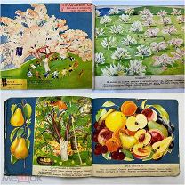 Книга ПЛОДОВЫЙ САД 1931 год рис. Кондиайн.!