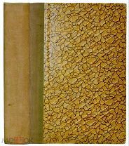 Д.Н. Овсянико-Куликовский. «История русской литературы XIX века». 1910 год.