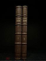 Сочинения. И.С. Никитин Красивый комплект, украшение полки. 1883.
