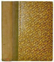 Д.Н. Овсянико-Куликовский. «История русской литературы XIX века». 1910 год.