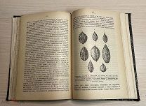 Книга прижизненный Чарльз Дарвин Изменение животных и растений 1896 ЛЮКС 19 ВЕК РАРИТЕТ C 1 РУБЛЯ