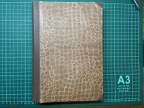 1916 Поэзия Армении.