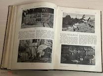 Книга ПРИРОДА за 1912 год подшивка больших журналы янв.дек 12 штук 765 стр Люкс РЕДКОСТЬ