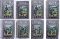 Буссенар.Полное собрание романов.В 9т.Т. 1-2,4-9. Почти комплект.СПб.Сойкина.1911 г.Шикарный перепл
