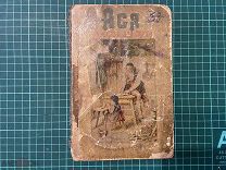 1900 Иоганна Спири. Ася. Иллюстрации.