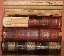 Гнедич, П.П. История искусств. Разные тома.!