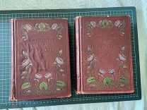 1909 Полное собрание стихотворений Некрасова в двух томах.