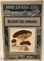 [Чудесные литографии] К. Серебряков. В царстве грибов. 1914.