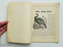 Абжолтовский, А. Птицеводство. Индейки, цесарки и павлины. [Тип. Ю.Г. Грессель], 1906 г.