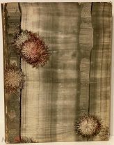 [Японское искусство. Шикарный иллюстрированный альбом] Сяраку. 1910.