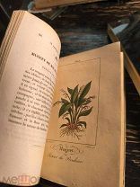Продаю редкую, антикварную книгу с иллюстрациями. На французском языке 1830 год.Le Langage