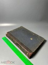 Новый энциклопедический словарь / под общ. ред. К. К. Арсеньева Ивовые - Итальянское искусство Т. 19