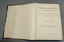 UD Старинная дореволюционная книга Жизнь Растений с илюстр том 2 СПБ изд Просвещение 1900 г!