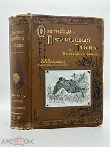 Мензбир, М.А. Охотничьи и промысловые птицы Европ. России и Кавказа. Атлас из 140 табл. 1902.