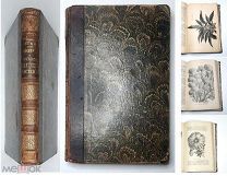 [Богато ил. изд.] Д-р. Регель.ОДНОЛЕТНИЕ И ДВУХЛЕТНИЕ ЦВ.РАСТЕНИя. 1885.(361 рис.ПЕРЕПЛЁТ. Прижиз.)
