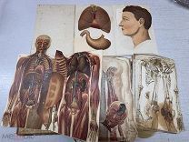 ПСА- СТАРИННАЯ КНИГА ПРО МЕДИЦИНУ ДО 1917Г- - ЛЕЩ
