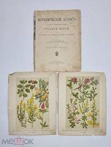 Аукцион. Ботанический Атлас. Петроград. Издание А.Ф.Девриена 1916 год. Царская Россия.