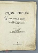 Чудеса природы. Замечательные произведения живой и мертвой природы