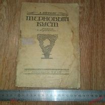 Д.Айзман Терновый куст Пьеса 1920