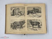 Антикварная книга «Настольный энциклопедический словарь» 1901 год. Москва