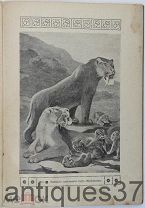 Журнал Знание для всех. Война в истории развития животных / М.А. Усов, 1916 г.