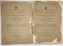 АУКЦИОН НА 4 ДНЯ. Гребницкий А.С Атлас плодов. Выпуски 1-3