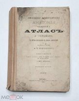 Д-р Гейцман. АТЛАС. Описательная и топографическая анатомия человека (компл. в 2-х т.):1890.