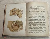 Книга 1895 год Акушерство Диагностика терапия медицинский атлас медицина Петербург