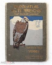 Атлас птиц - Цветные литографии - Царство животных - Проф. Курт Ламперт - 1913