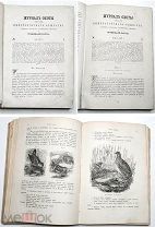 [Сабанеев, Л. ] ЖУРНАЛ ОХОТЫ (второе полугодие, 6 номеров ) 1875. Редка.