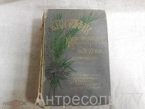 Биографии композиторов с IV по XX век с портретами. 1904г.