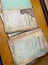 развалы книг в подарок молодым хозяйкам 1896 и вегетарианская кухня 1916