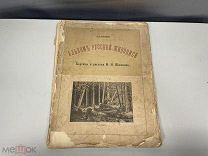 Старинный альбом русской живописи. Шишкин. авт. Булгаков 1892 11