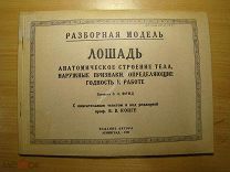 Фрид С.Л. Лошадь. Разборная модель. Издание автора - 1927 г. Старт 1 руб.