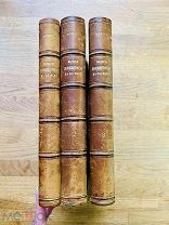 История живописи в XIX веке. Р. Мутер. Роскошный комплект! 1899-1900.