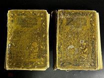 ПТР- АНТИКВАРНЫЕ КНИГИ «НОВЫЙ СПОСОБ ЛЕЧЕНИЯ» 2 ТОМА- ДО 1917 ГОДА- - ИЗИ