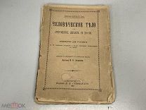 Старинная книга Человеческое тело К. Бок 1900г M1