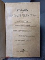 Атлас по Анатомии человека 1912 изд.Кушнера Сердце Кровеносные сосуды