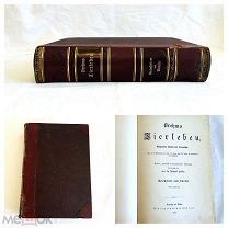 Старинная красивая книга литература Животный Мир с цветными картинками Brehms 1893г UD