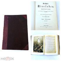 Красивая старинная книга/литература с цветными иллюстрациями 1893г Brehms Флора и Фауна UD