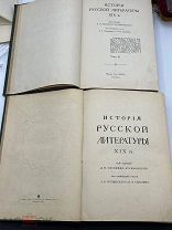 Антикварные книги. История русской литературы 19 века. 1,3 том