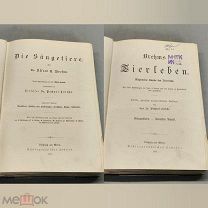YD Старинная книга Млекопитающие Животный мир том 2 Издание Брема Brehms 1890 г иллюстрации 19 век
