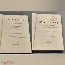YD Старинная книга Млекопитающие Животный мир том 1 Издание Брема Brehms 1890 г иллюстрации 19 век