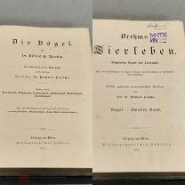 YD Старинная книга Птицы Животный мир том 2 Издание Брема Brehms 1891 г иллюстрации 19 век
